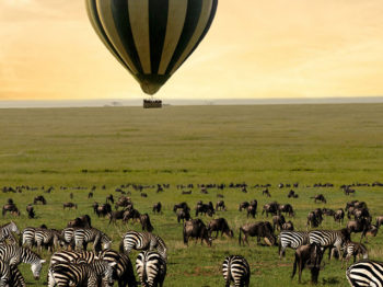 7 Days Endless Plains (Serengeti & Ngorongoro)