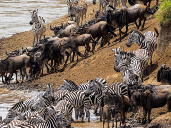 10 Days East Africa’s Biggest Spectacle