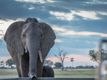 9-Days Zimbabwe & Wilderness