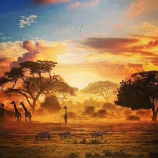'For as long as I can remember, I have been passionately intrigued by ‘Africa,’ by the word itself, by its flora and fauna, its topographical diversity and grandeur; but above all else, by the sheer variety of the colors of its people, from tan and sepia to jet and ebony.' ~Henry Louis Gates
